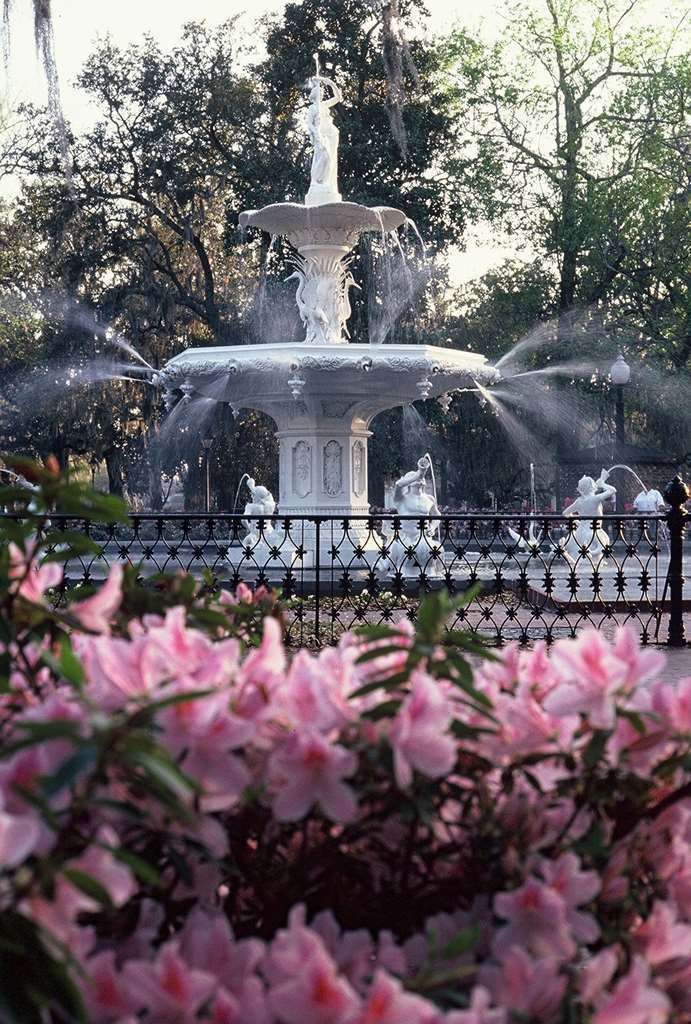 Hotel Hilton Garden Midtown Savannah