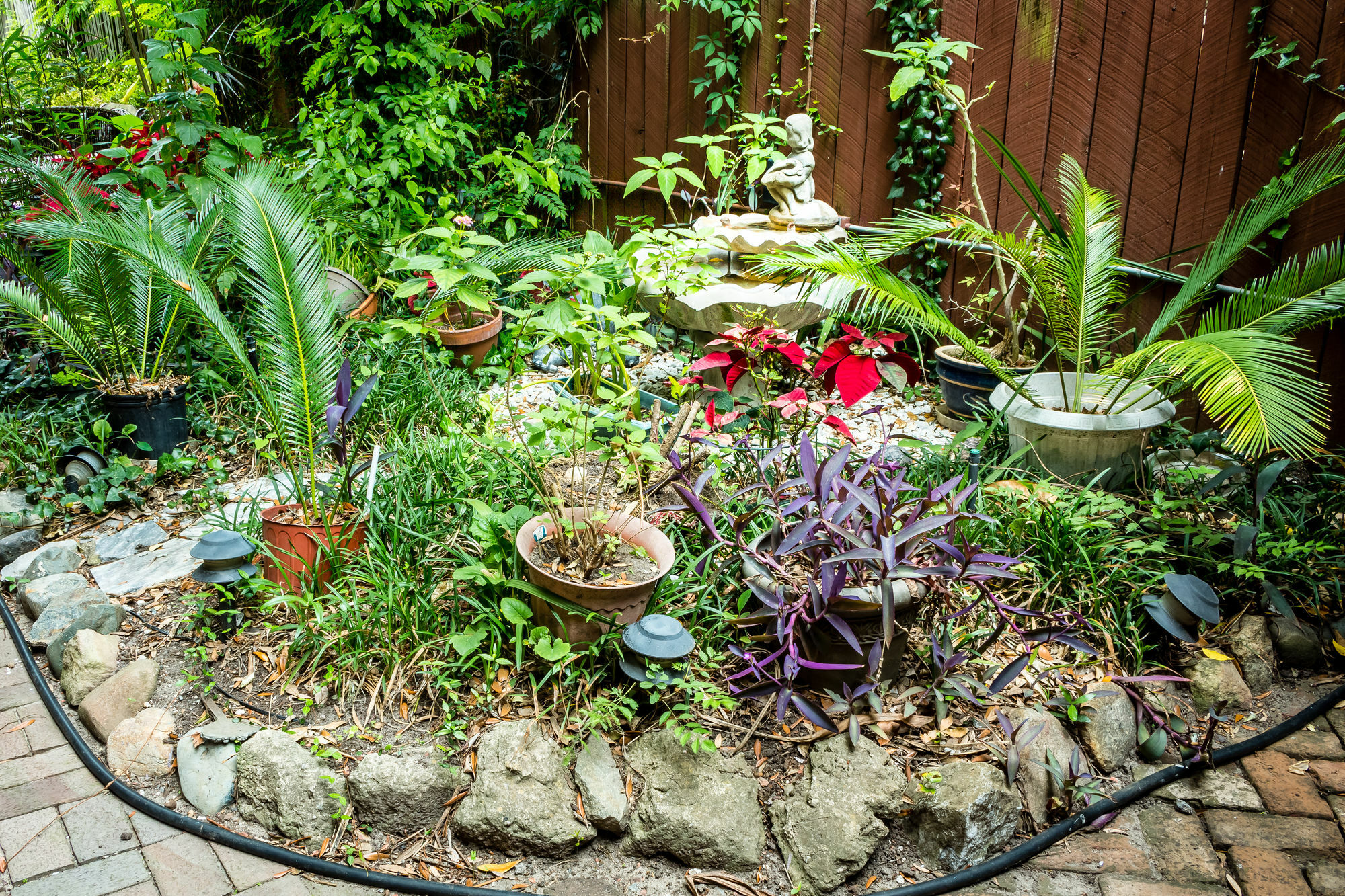 Amethyst Garden Bed & Breakfast 4*