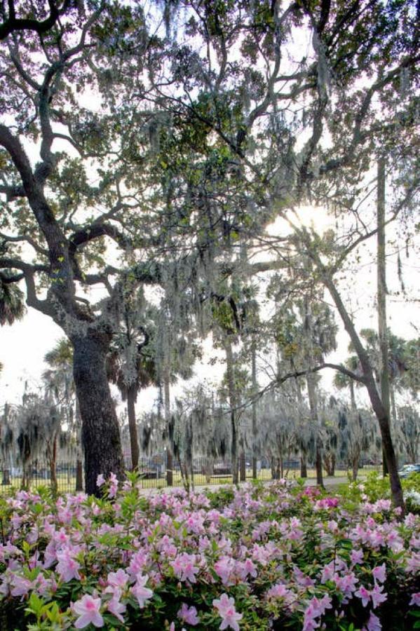 Restored Historic 5 Bedroom 4 And A Half Bath Savannah