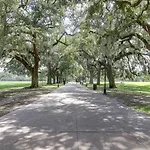 Spanish Moss Inn