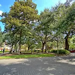201 York #2 - Newly Renovated Parkside Apt!