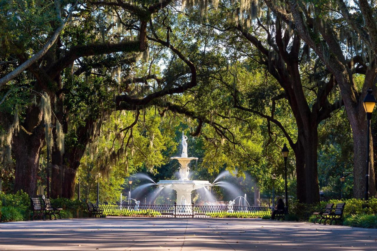 The Basecamp Savannah