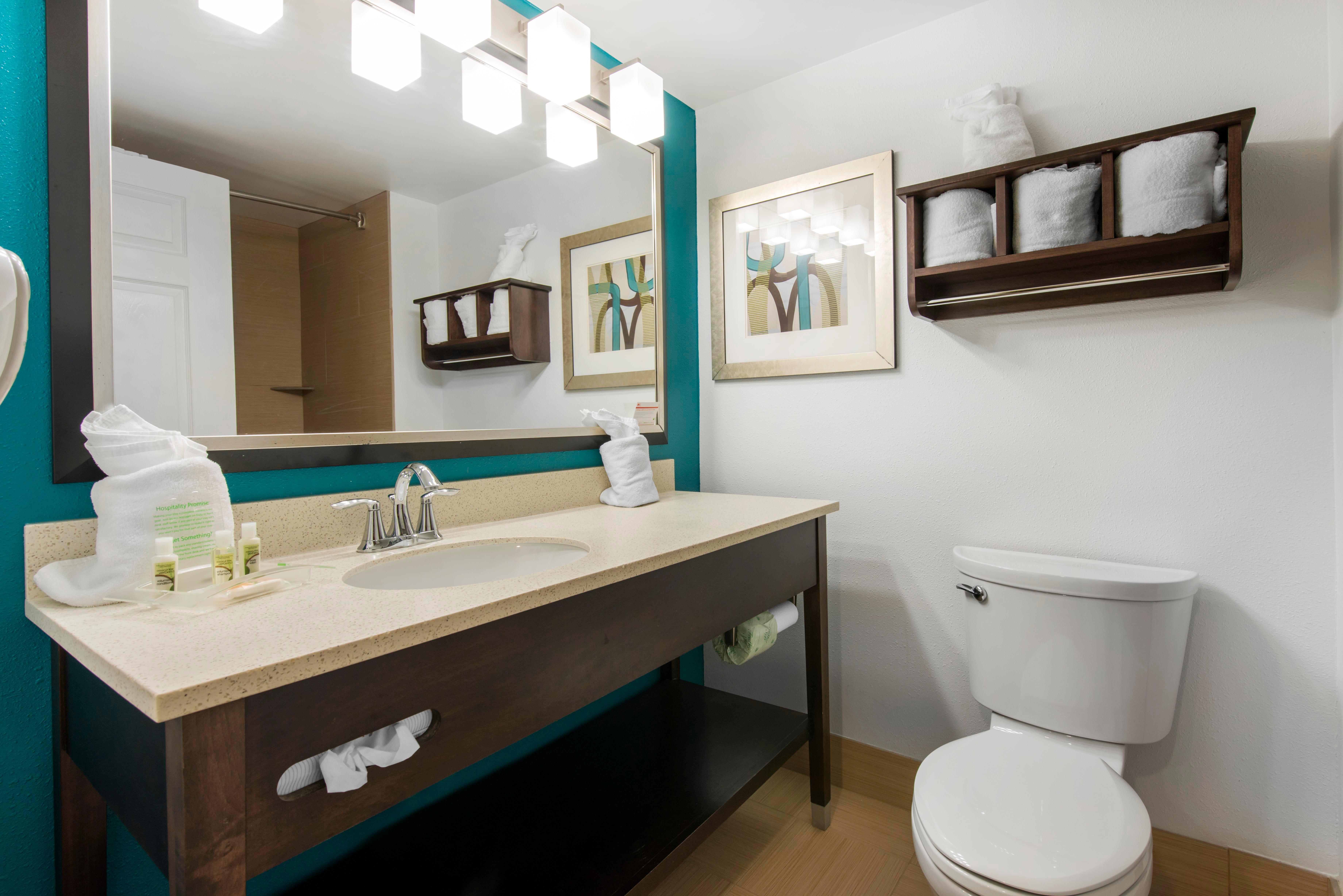 South - I-95 Gateway By Ihg 3* Savannah