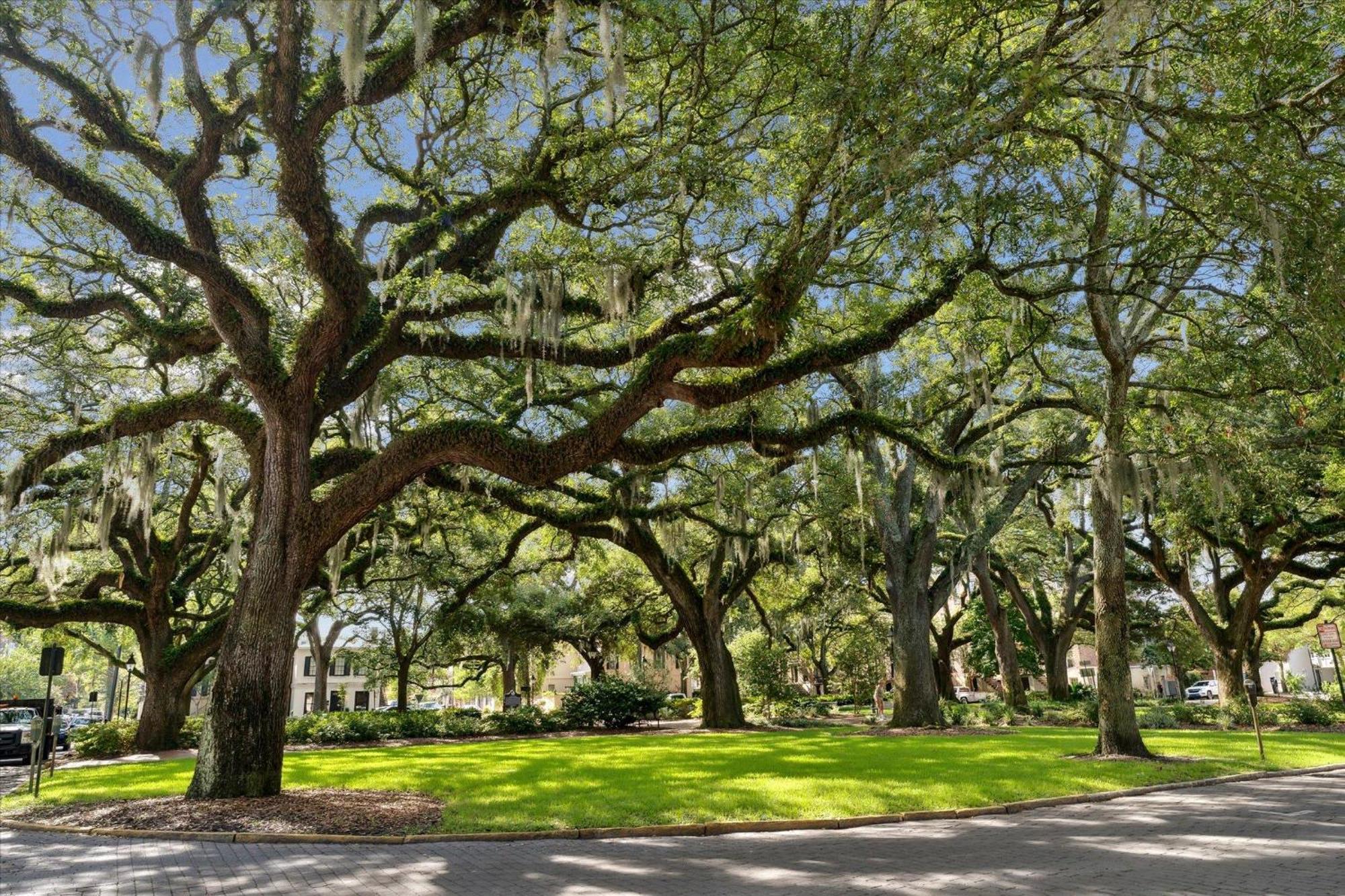 Apartment 308 W Taylor Street Garden Savannah
