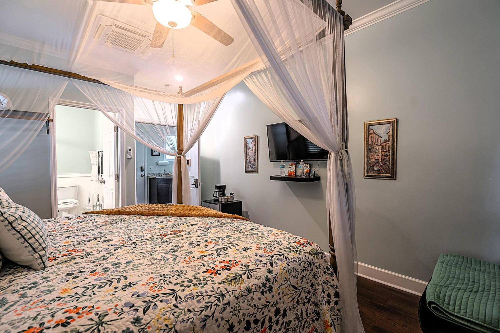 Unique Victorian Main House And Carriage House Holiday home