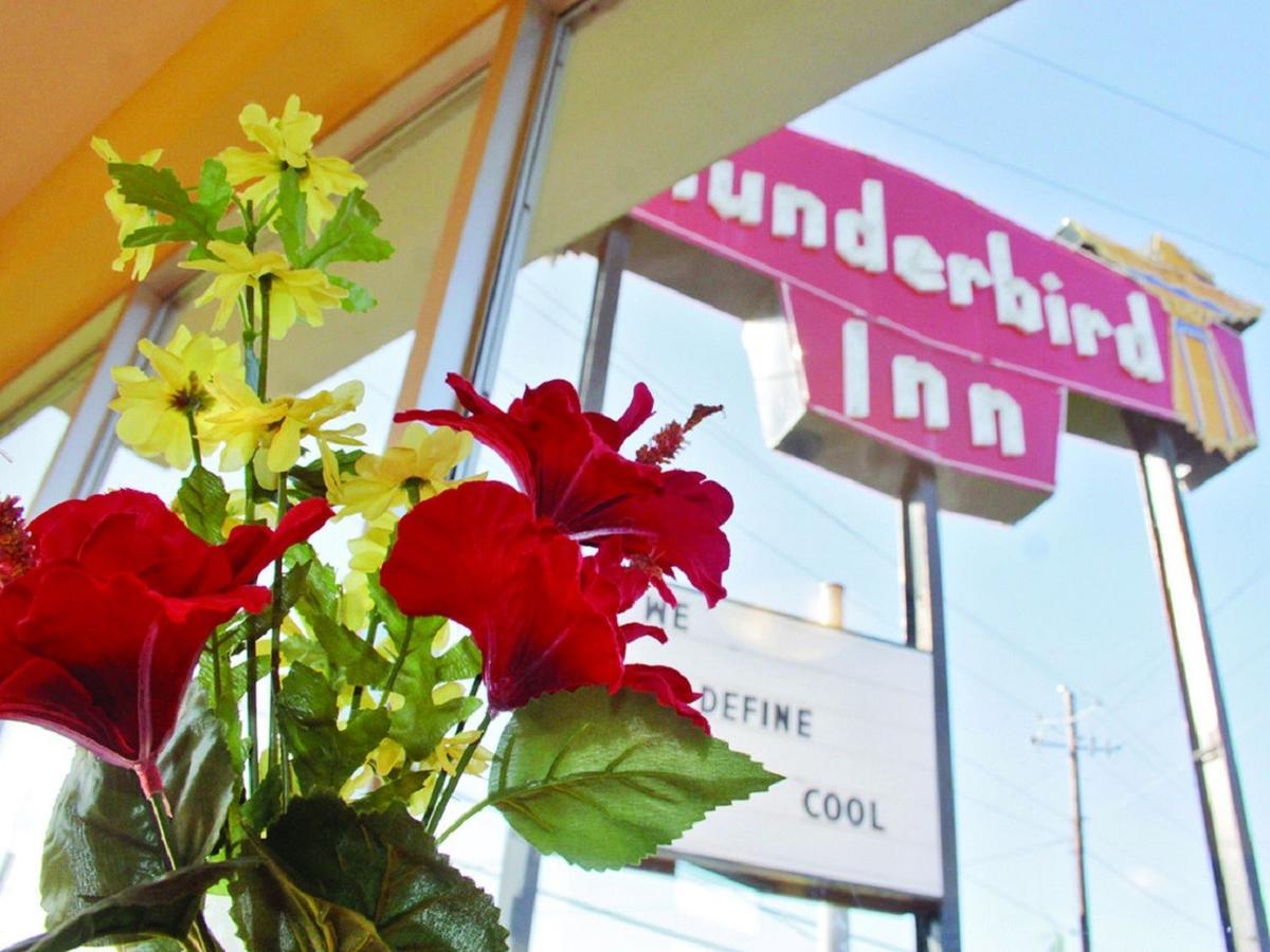 The Thunderbird Savannah