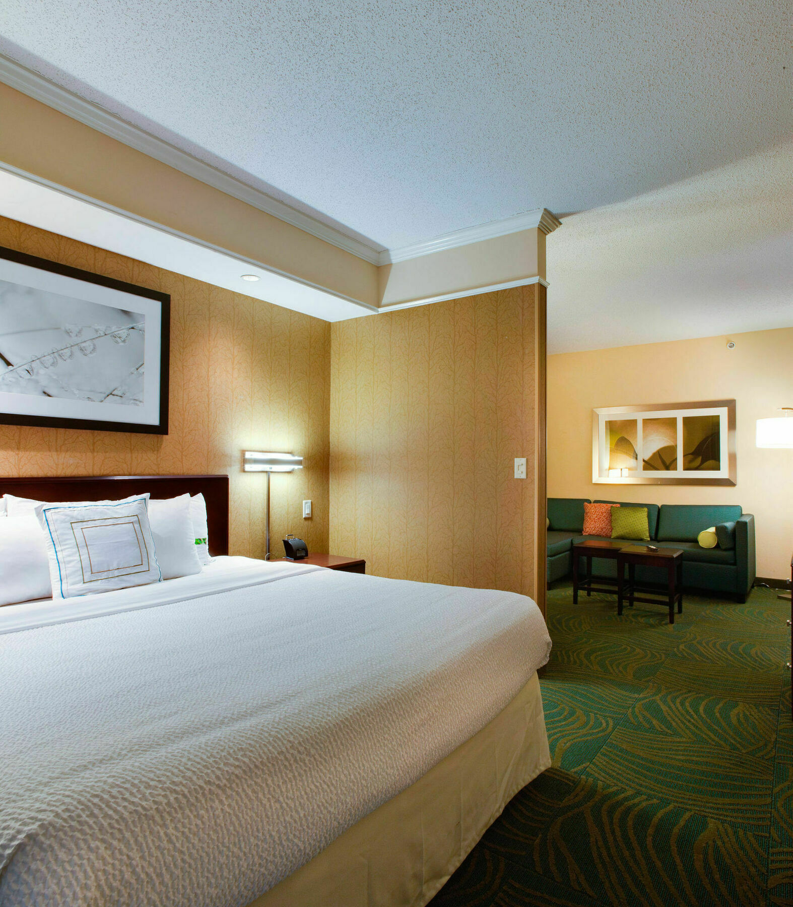 Hotel Springhill By Marriott I-95 South