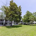 Oneway Savannah