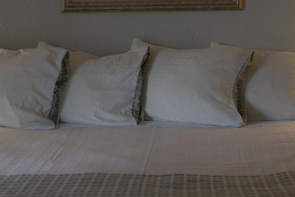 Comfort Savannah